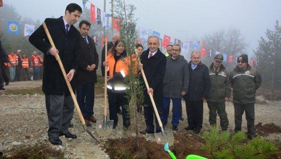 24 Kasım Öğretmenler Günü Hatıra Ormanı Açılışı Yapıldı